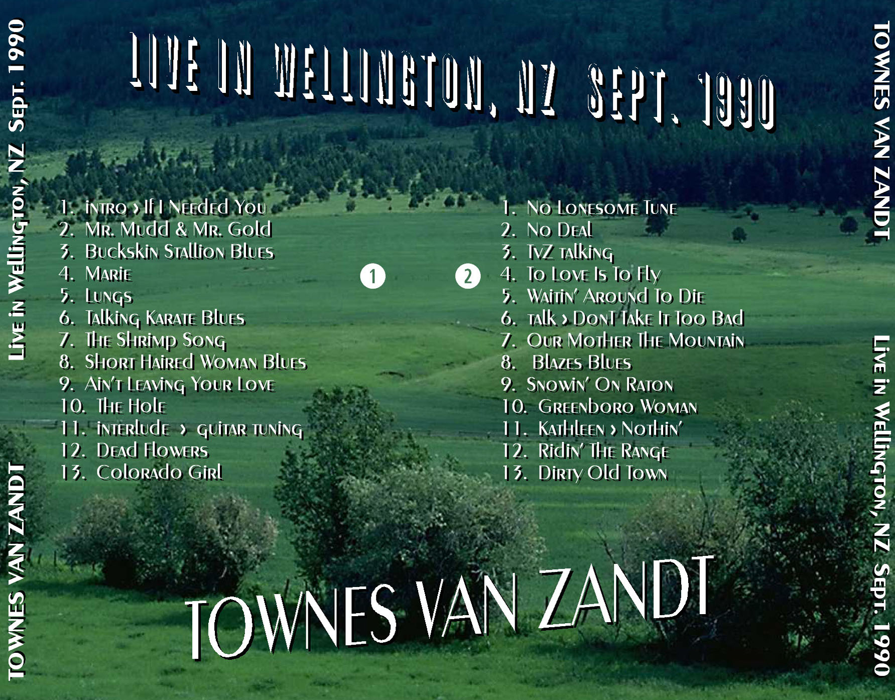 TownesVanZandt1990-09-01PaisleyParkWellingtonNewZealand (1).jpg